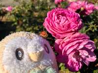 https://images.plurk.com/4YPbxPjiBQLhlR5SkGKP4L.jpg