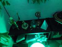 https://images.plurk.com/4YfGf5mmrL8gzHNu6bpQUN.png