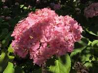 https://images.plurk.com/4YfPnyvbIrFWQgmS60ucRE.jpg