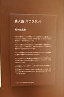 https://images.plurk.com/4Yk8xeWY8RID7Y4s72GU8s.jpg