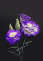https://images.plurk.com/4YogYZ9Ik8AFd6ZgKjVb1I.jpg