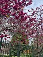 https://images.plurk.com/4YrRA82oaQQvPZ4sc009au.jpg