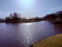 https://images.plurk.com/4Yu2ni9lSH39ll3wkOrJDV.jpg
