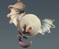 https://images.plurk.com/4Z3iCKNxjbuDZuhpV4r7zB.png
