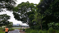 https://images.plurk.com/4Z5JdVYSu0XoH5RjSIwqxf.jpg