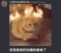 https://images.plurk.com/4Z6Ve6t4YxXPk2gHKpUTqt.png