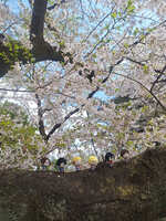https://images.plurk.com/4ZDp2pvm7kJDLv0L5TMKtF.jpg