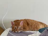 https://images.plurk.com/4ZFPzNDFeiYFcnnyLVv7d2.jpg