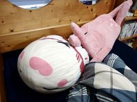 https://images.plurk.com/4ZLzfXHevXLTTwAzN8Xrto.jpg