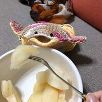 https://images.plurk.com/4ZOCVM5BEvNyFRxAMkwcSu.jpg