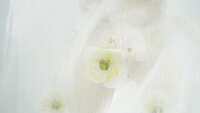 https://images.plurk.com/4ZPnnBndivlKWKPJPrVGyE.jpg