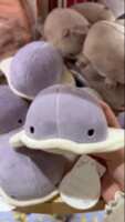 https://images.plurk.com/4ZQFEwI5xNXEyjOqvNMTfw.gif