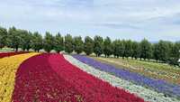 https://images.plurk.com/4ZQsmobDdzLagwCGkhn4cb.jpg