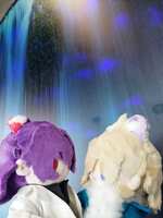 https://images.plurk.com/4ZX8sQqnYgjsPJuNx7scPM.jpg