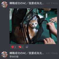 https://images.plurk.com/4ZX9g7qQjGKNHyw60ghfkf.jpg