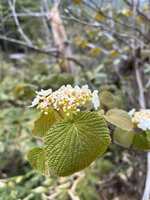 https://images.plurk.com/4ZXCv6yVrVi2LaAoigcYsW.jpg