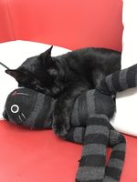 https://images.plurk.com/4ZezXoybAxlbbphRAVuioo.jpg