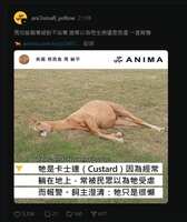 https://images.plurk.com/4ZiMjD0Ea3eTqqRKojtgxA.jpg