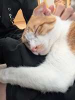 https://images.plurk.com/4Zn7reWDBeo7cKTdDse9xw.jpg