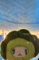 https://images.plurk.com/4ZrO7N0DhYtIdjSzCbhDdy.jpg
