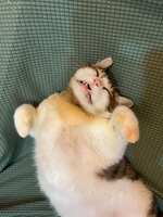 https://images.plurk.com/4ZuQBLCOHwbzTndYfy6nmT.jpg