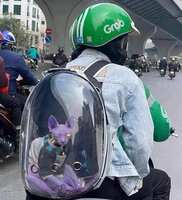 https://images.plurk.com/4Zvf0FZJ9fmy9XAF3MXjWF.jpg
