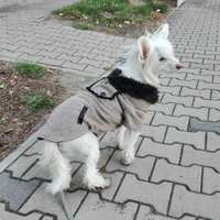 https://images.plurk.com/4a6MbGHuBWgOmNaojg0wUx.jpg
