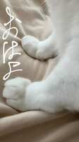 https://images.plurk.com/4aBmoWnfBT9GvcAXI0Wa2o.png