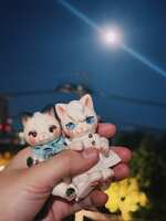 https://images.plurk.com/4aJZVTyRdaKuIUkY9IrF3P.jpg