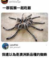 https://images.plurk.com/4aLTjt7fEQgDHMuYLkC6OO.jpg