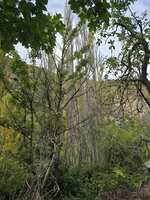 https://images.plurk.com/4aMV5CWYe6f3hzLy6AtGAx.jpg