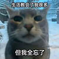 https://images.plurk.com/4aPDu48KVRLeQIcumpG4zA.jpg