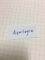 https://images.plurk.com/4aSTnPnKzGKC2r9Dw3FLgI.jpg