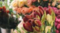 https://images.plurk.com/4aXMFxLK2ir65jJGjk1z5h.png