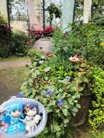 https://images.plurk.com/4aecMY4P3UgjTYQkwYwVp5.jpg
