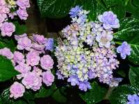 https://images.plurk.com/4aefRezn9ePQWbpIgKxc6y.jpg
