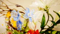 https://images.plurk.com/4afUtpRGFfPjmhZxYGkCrg.jpg