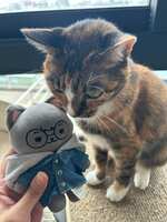 https://images.plurk.com/4an2UAgM22Vh89cI9DxIKd.jpg