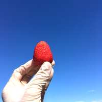https://images.plurk.com/4atBVdvzyqpnf7mncq1DYJ.jpg