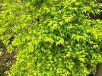 https://images.plurk.com/4auApZGaCAWfX2nbkY5NoZ.jpg