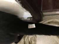 https://images.plurk.com/4b3S26YlXoE7hdcPjLk03L.jpg