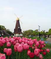 https://images.plurk.com/4bAy7J52mSr3FmCmCAO9aB.jpg