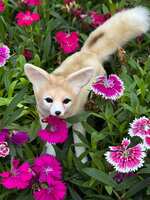https://images.plurk.com/4bR16I8RbBHKd3UEEw7xjd.jpg