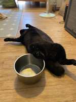 https://images.plurk.com/4bRAIQNjAqUCtkpHbhjTW0.jpg