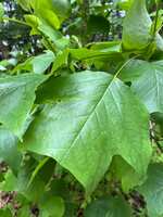 https://images.plurk.com/4bWFaUCyQKydp7CtOz81Ch.jpg