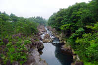 https://images.plurk.com/4bcgzKnbLtKq0CkjGvv4Hq.jpg