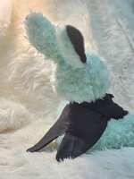 https://images.plurk.com/4bep0GBffTELGTmeclIylR.jpg