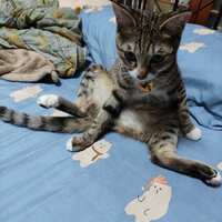 https://images.plurk.com/4bgVttwupm7Z2jOCekkupI.jpg