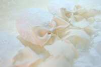 https://images.plurk.com/4bjfVLSJOCMOkXgJXnzjl4.jpg