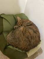 https://images.plurk.com/4bsaKyK6ooWSiF6yCWxeF4.jpg